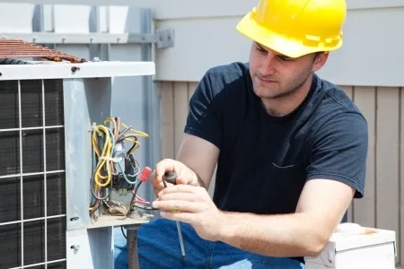 Zone System - Alexander Services Ac seer