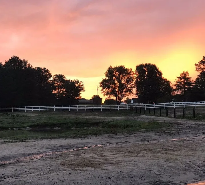 Saddletree stables willow springs