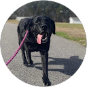 Betty W. profile picture