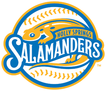 Holly_springs_salamanders_logo - Alexander Services - Alexander Services Logo for the holly springs salamanders baseball team, featuring a blue-and-orange salamander wrapping around a baseball and the team name.